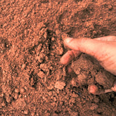 Indoor safe sensory play dirt for mess-free, engaging sensory experiences for children.